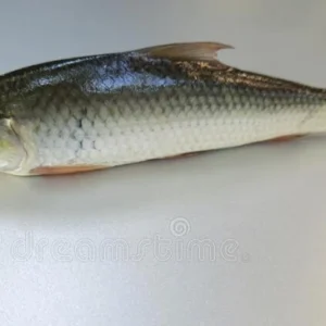 Bata Fish (বাটা মাছ)