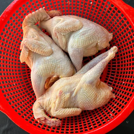 Desi Chicken (দেশি মুরগি)