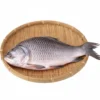 Fresh Katla Fish – Cleaned, Premium Cuts & Perfect for Bengali Curries