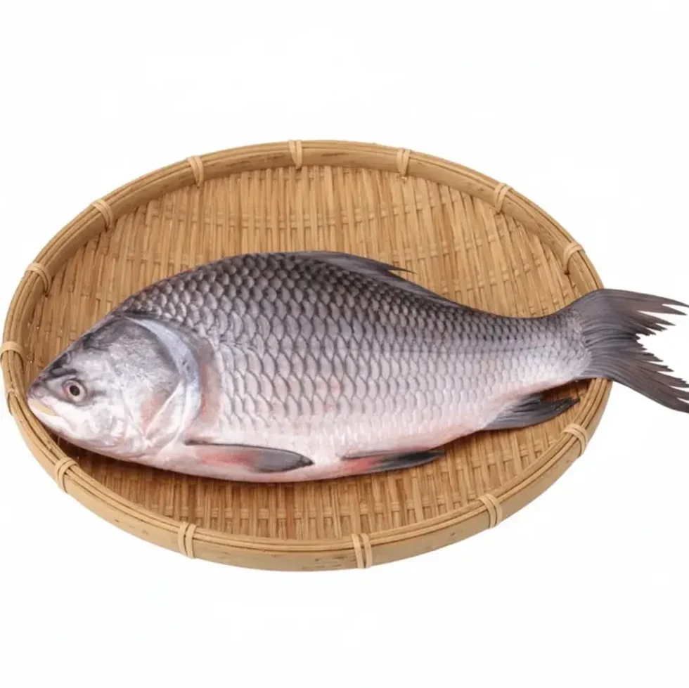 Fresh Katla Fish – Cleaned, Premium Cuts & Perfect for Bengali Curries